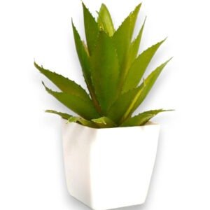 Artificial Aloe Vera Plant with White Pot