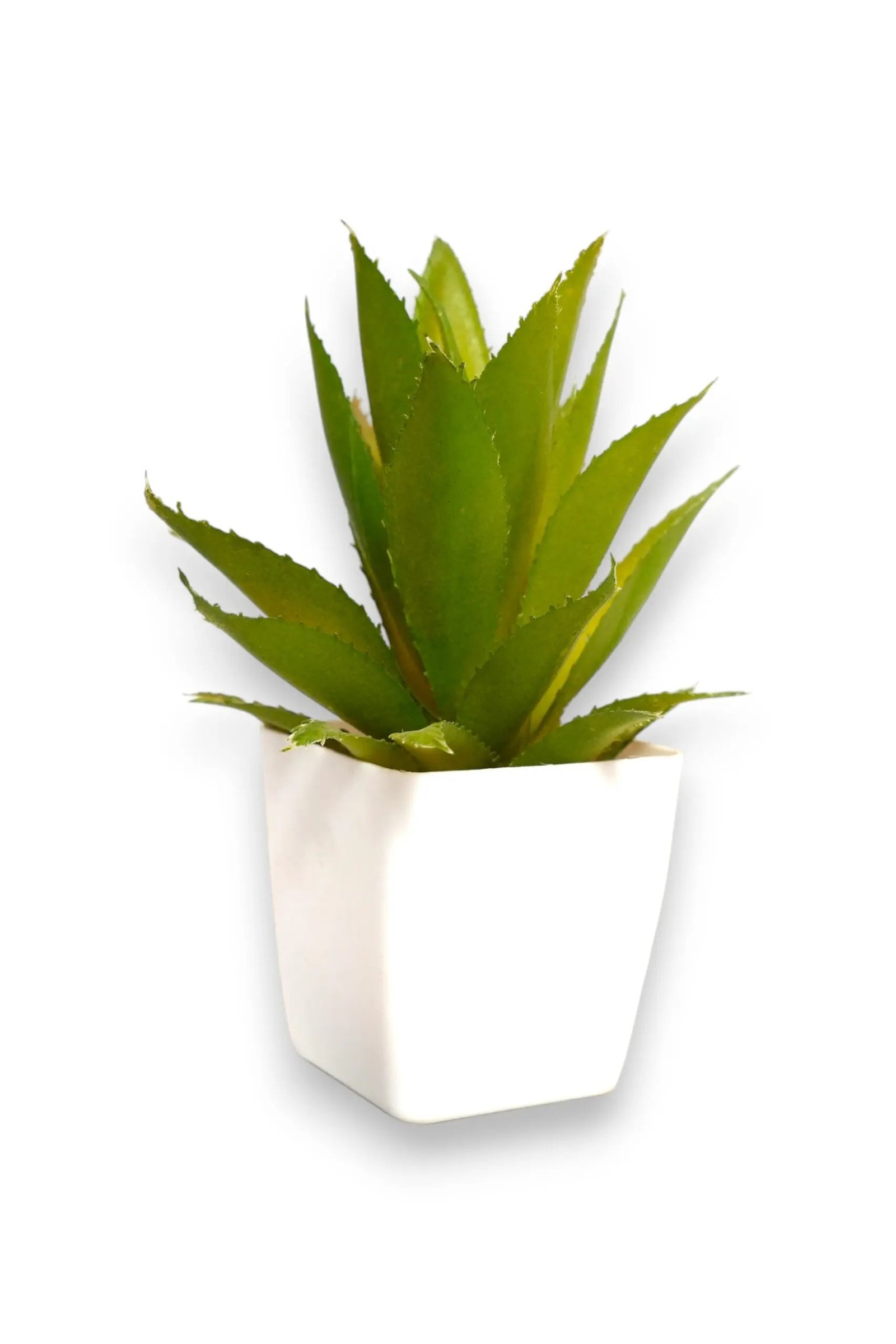Artificial Aloe Vera Plant with White Pot