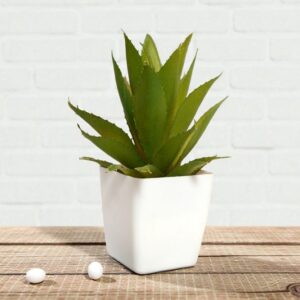 artificial aloevera plant by rwfm.in