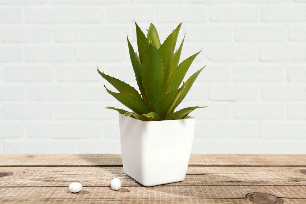 artificial aloevera plant by rwfm.in