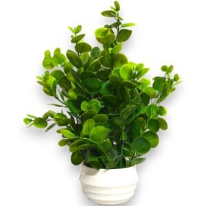 Artificial Jade Decorative Plant with White Pot
