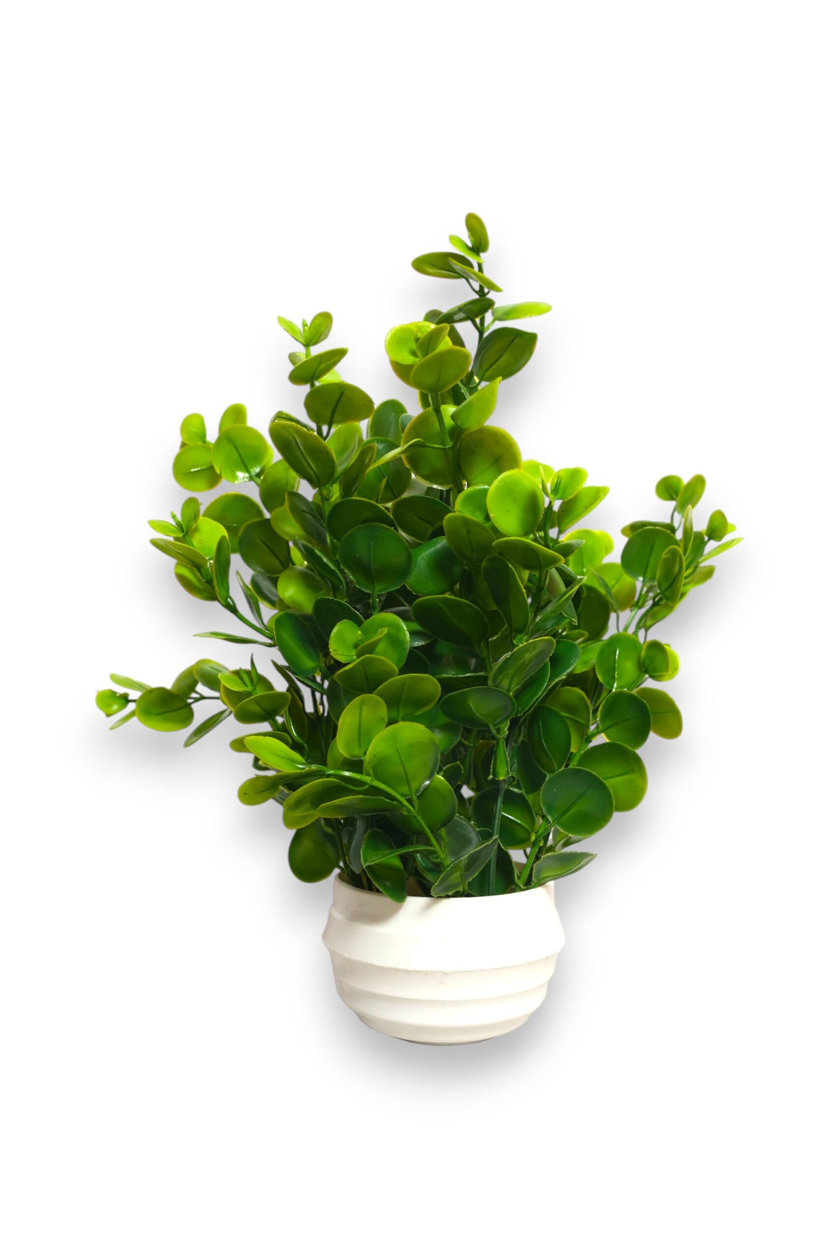 Artificial Jade Decorative Plant with White Pot