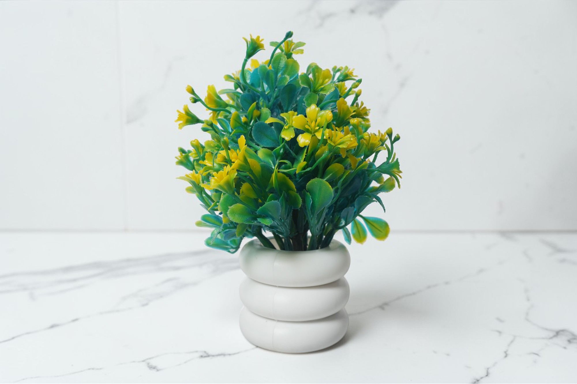 bonsai europian plant by rwfm.in