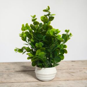 jade artificial plant rwm.in