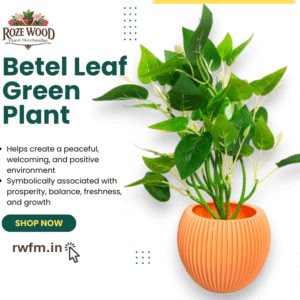artificial betel leaf green plant with fancy pot