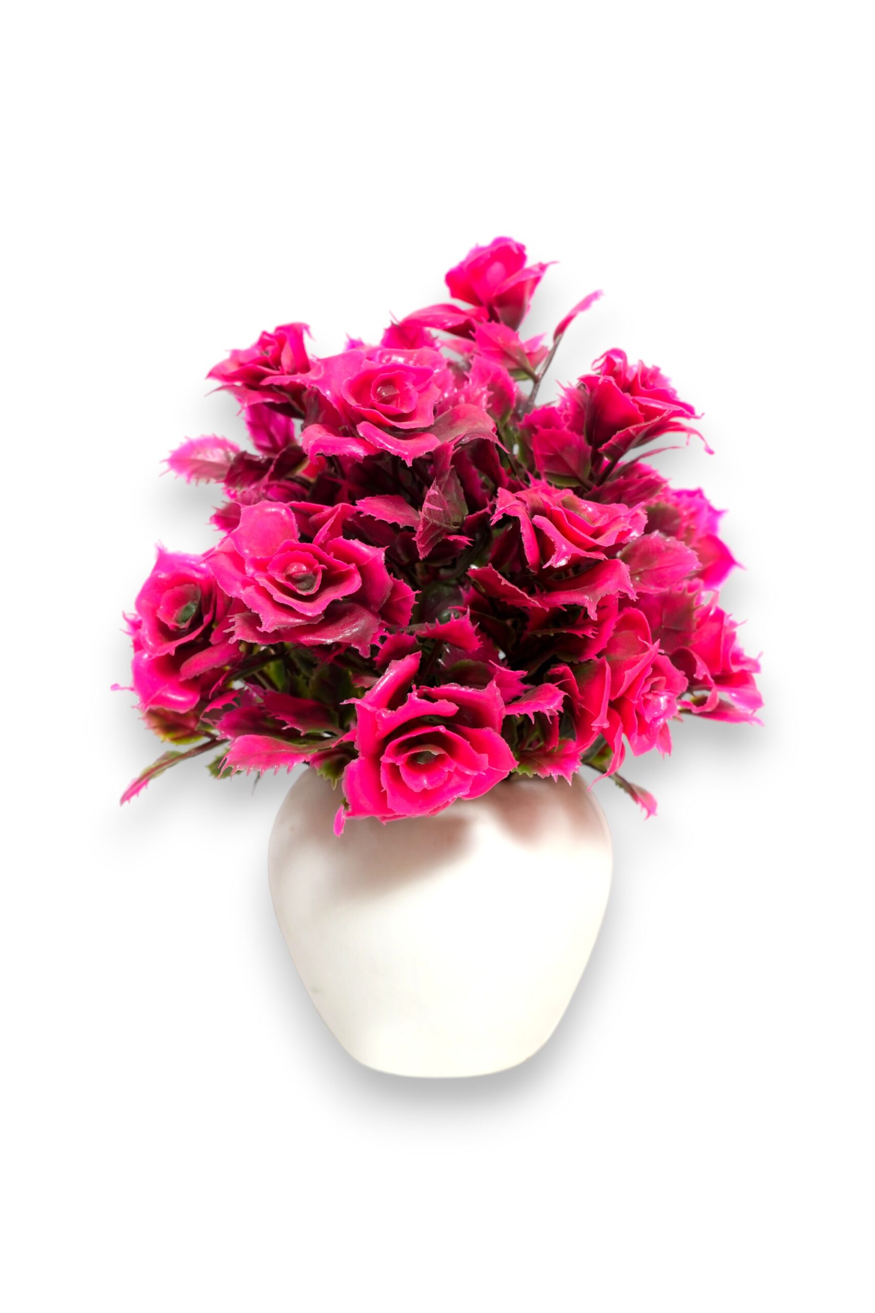 Artificial Plant in the Shed of Purple Rose