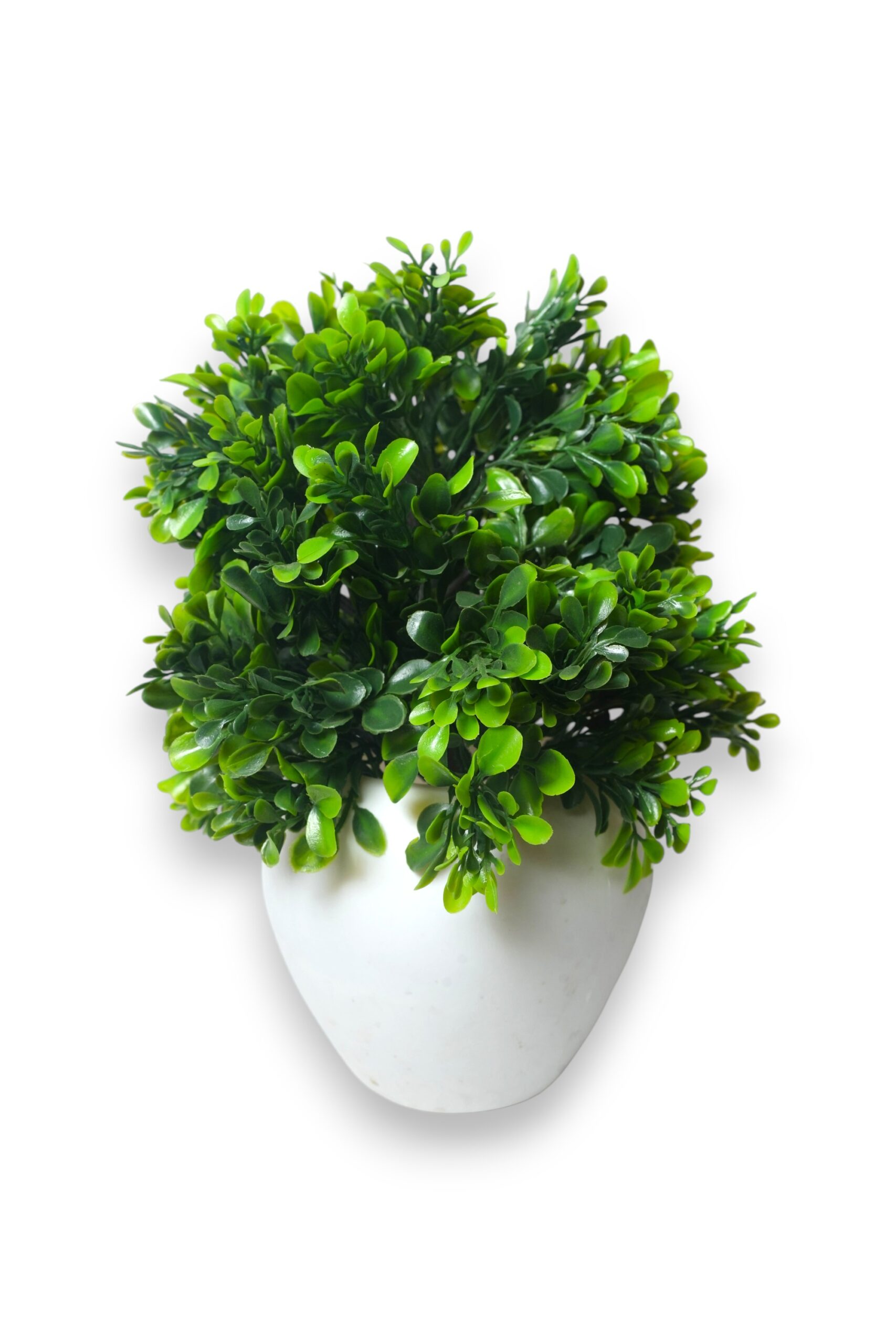 Artificial Ficus Ginseng Bonsai Plant with Shiny Green Leaves in Large White Pot