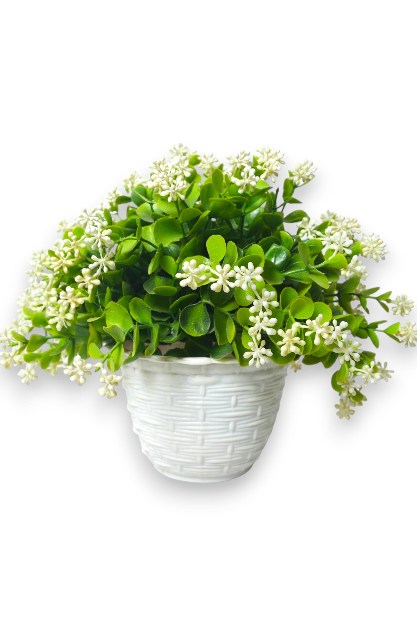 Artificial Gypsum Flower Plant with White Swiss Blossoms in Basket-Style Pot