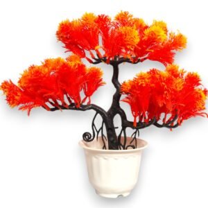 swiss bonsai plant cherry orange color
