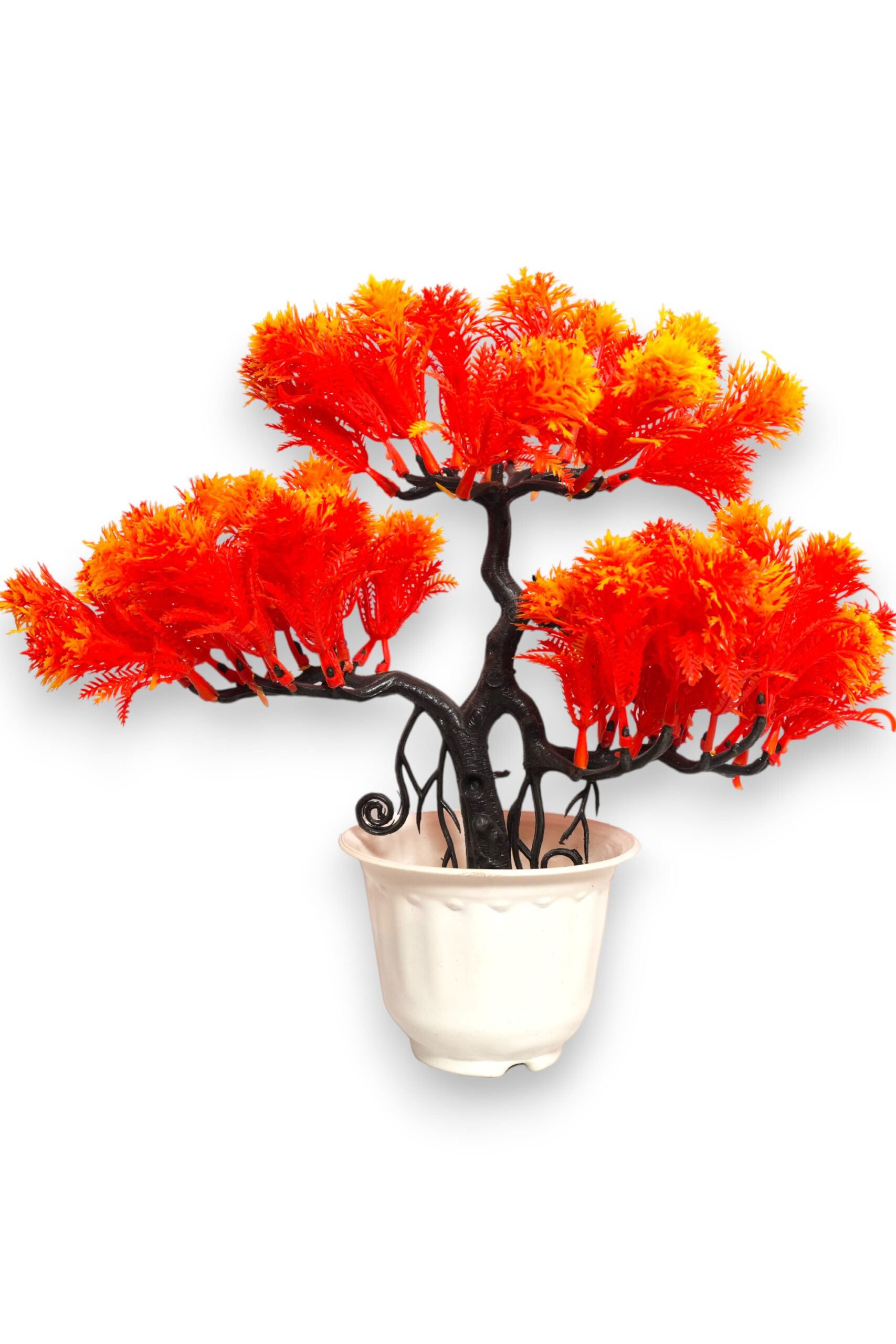 swiss bonsai plant cherry orange color