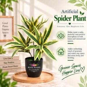 Artificial Spider Plant with 3 Bunches in Fancy Black Pot