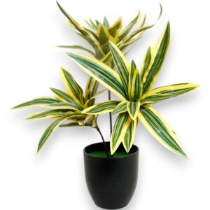 Artificial Spider Plant with 3 Bunches in Fancy Black Pot