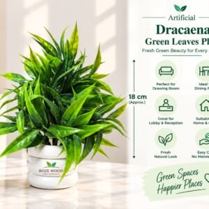 Artificial Dracaena Green Leaves Tree Plant with Tyre Shaped White Pot